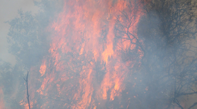 Stato di grave pericolosità per Incendi Boschivi